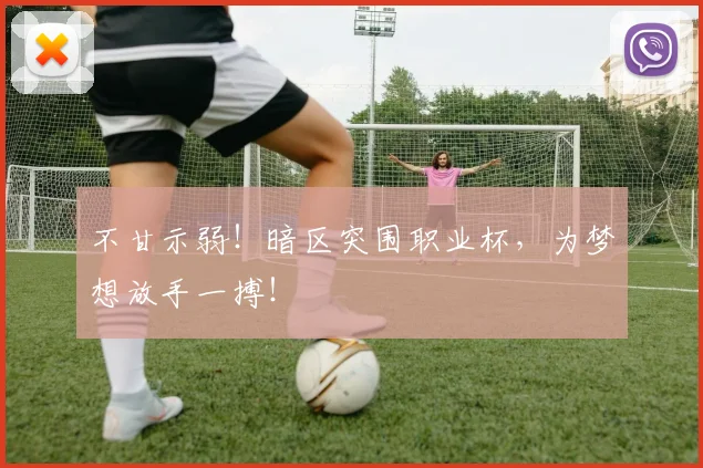 不甘示弱！暗区突围职业杯，为梦想放手一搏！