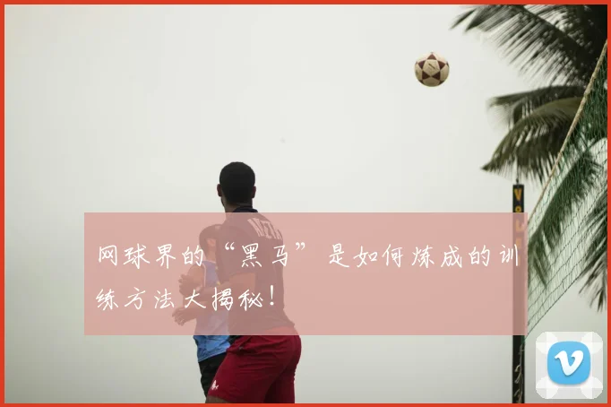 网球界的“黑马”是如何炼成的训练方法大揭秘!