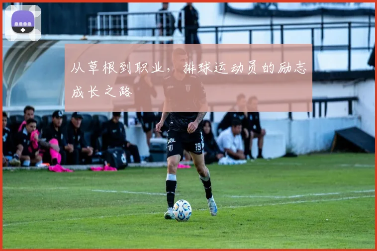 从草根到职业，排球运动员的励志成长之路
