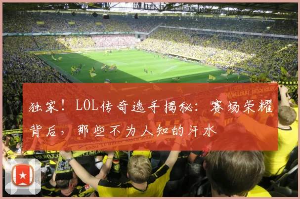 独家！LOL传奇选手揭秘：赛场荣耀背后，那些不为人知的汗水