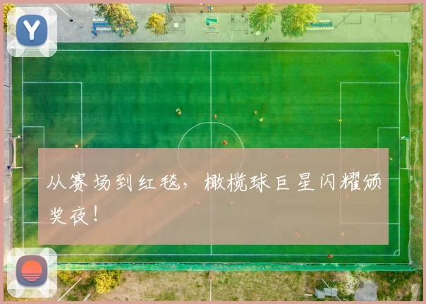 从赛场到红毯，橄榄球巨星闪耀颁奖夜！